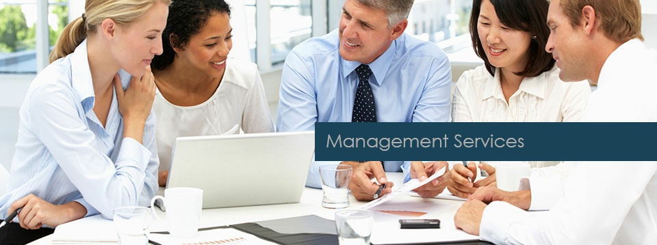 Hans du Plessis Accountants Incorporated | Management Services
